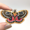 Zaddachs Emperor Moth