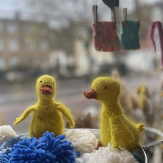 Dodo and Mimosa Ducklings Kit