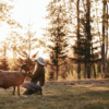 Lakeside Stitches: Gentle Knits from the North by Ronja Hakalehto - Image 9