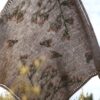 Cultivate: Knitting the Beauty of Nature by Dee Hardwicke and Jonna Helin - Image 11