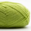 029 Spring Green