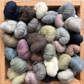 SheepSoft 4ply by Laxtons