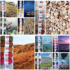 Colour At Work by Kate Davies and Felicity Ford - Image 6