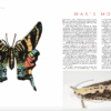 Colour At Work by Kate Davies and Felicity Ford - Image 8