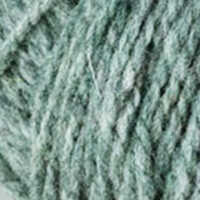 Eucalyptus