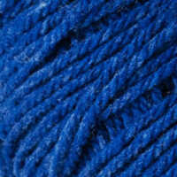 Delphinium