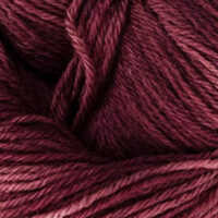 Brombeer Zweig