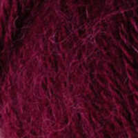 Rubus 1266