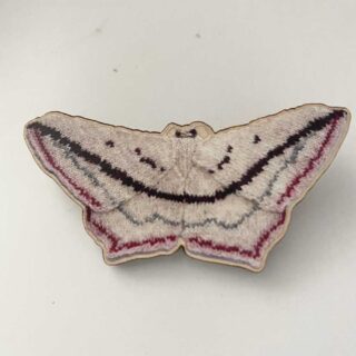 Blood Vein Moth