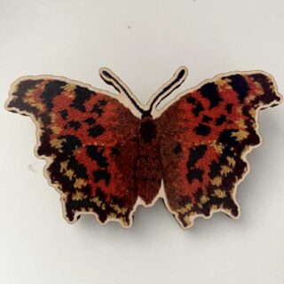 Comma Butterfly